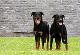 BEAUCERON 785